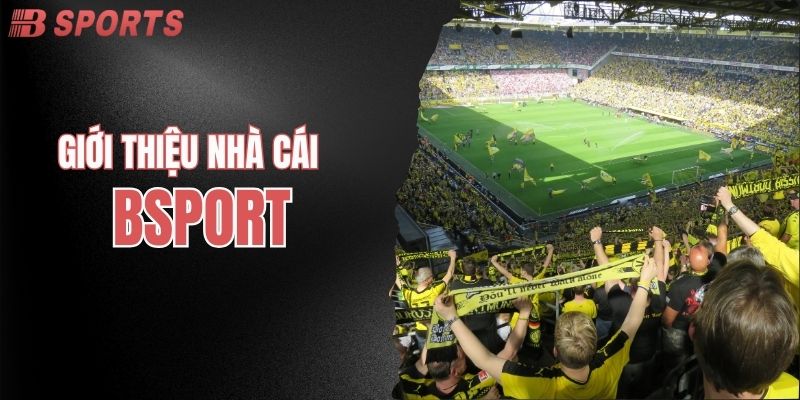 BSPORT là nhà cái chuyên về lĩnh vực thể thao